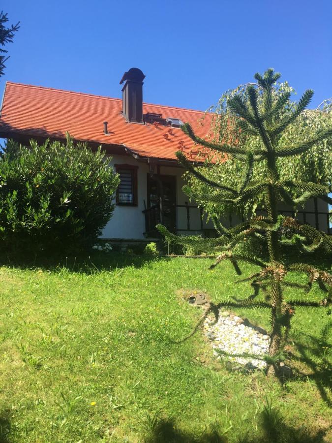 Haus Bergblick Vila Luftkurort Luckendorf Exterior foto